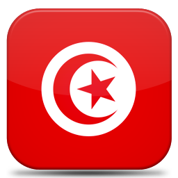 ویزا تونس